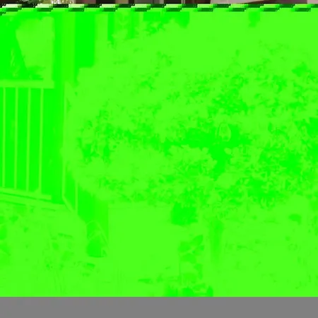 Beautiful In Harzgerodedankerode Dankerode (Saxony-Anhalt)